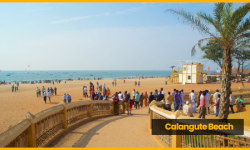 Candolim