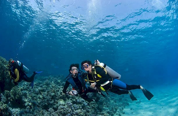 Scuba Diving package